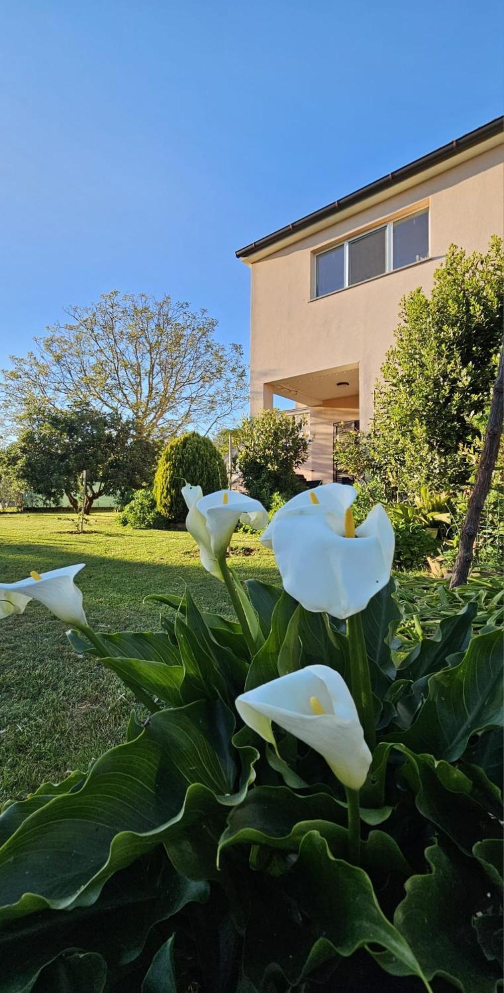 Casa Da Billy Daire Pula Dış mekan fotoğraf